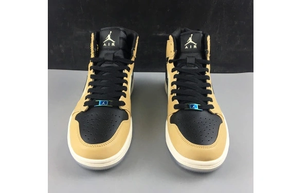 WMNS Fossil AH7389-003 AH7389-003 Air Jordan 1 Premium High Mushroom 0408